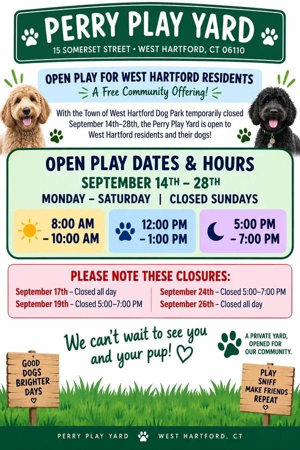 Perry Play Yard open play flyer